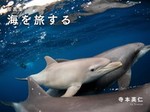 写真集「海を旅する」